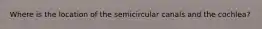 Where is the location of the semicircular canals and the cochlea?