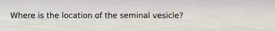 Where is the location of the seminal vesicle?