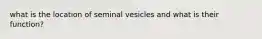 what is the location of seminal vesicles and what is their function?