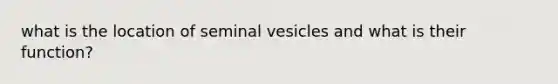 what is the location of seminal vesicles and what is their function?