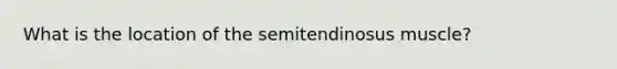 What is the location of the semitendinosus muscle?