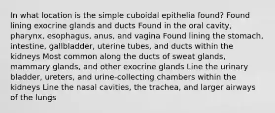 In what location is the simple cuboidal epithelia found? Found lining exocrine glands and ducts Found in the oral cavity, pharynx, esophagus, anus, and vagina Found lining the stomach, intestine, gallbladder, uterine tubes, and ducts within the kidneys Most common along the ducts of sweat glands, mammary glands, and other exocrine glands Line the urinary bladder, ureters, and urine-collecting chambers within the kidneys Line the nasal cavities, the trachea, and larger airways of the lungs