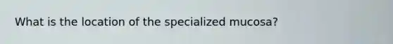 What is the location of the specialized mucosa?