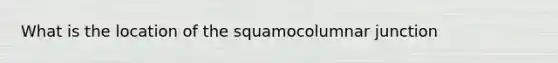 What is the location of the squamocolumnar junction