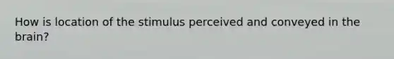 How is location of the stimulus perceived and conveyed in the brain?