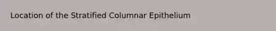 Location of the Stratified Columnar Epithelium