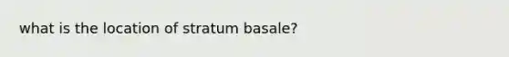 what is the location of stratum basale?