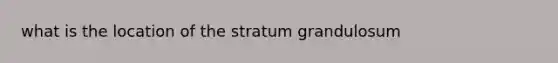 what is the location of the stratum grandulosum