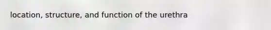 location, structure, and function of the urethra
