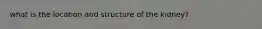 what is the location and structure of the kidney?