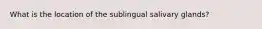 What is the location of the sublingual salivary glands?