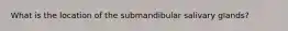 What is the location of the submandibular salivary glands?