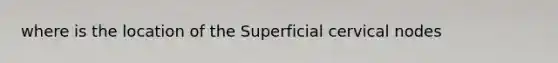 where is the location of the Superficial cervical nodes