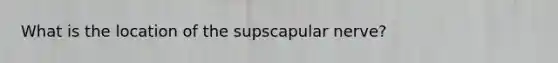 What is the location of the supscapular nerve?