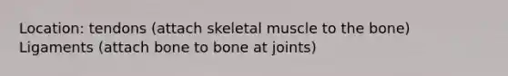 Location: tendons (attach skeletal muscle to the bone) Ligaments (attach bone to bone at joints)