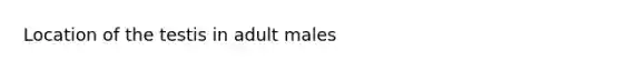 Location of the testis in adult males