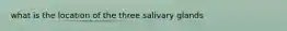 what is the location of the three salivary glands