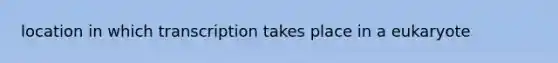 location in which transcription takes place in a eukaryote