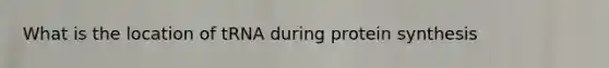 What is the location of tRNA during <a href='https://www.questionai.com/knowledge/kVyphSdCnD-protein-synthesis' class='anchor-knowledge'>protein synthesis</a>