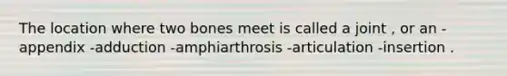 The location where two bones meet is called a joint , or an -appendix -adduction -amphiarthrosis -articulation -insertion .