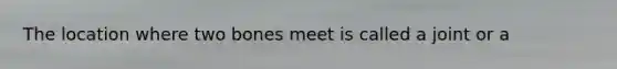 The location where two bones meet is called a joint or a