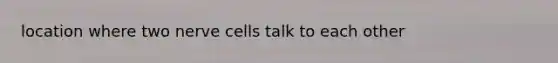 location where two nerve cells talk to each other