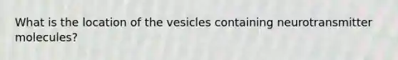 What is the location of the vesicles containing neurotransmitter molecules?