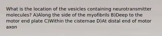 What is the location of the vesicles containing neurotransmitter molecules? A)Along the side of the myofibrils B)Deep to the motor end plate C)Within the cisternae D)At distal end of motor axon