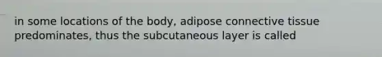 in some locations of the body, adipose <a href='https://www.questionai.com/knowledge/kYDr0DHyc8-connective-tissue' class='anchor-knowledge'>connective tissue</a> predominates, thus the subcutaneous layer is called