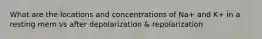 What are the locations and concentrations of Na+ and K+ in a resting mem vs after depolarization & repolarization