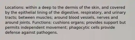 Locations: within a deep to the dermis of the skin, and covered by the epithelial lining of the digestive, respiratory, and urinary tracts; between muscles; around blood vessels, nerves and around joints. Functions: cushions organs; provides support but permits independent movement; phagocytic cells provide defense against pathogens.