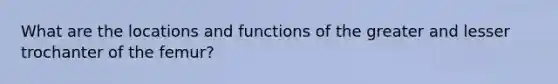 What are the locations and functions of the greater and lesser trochanter of the femur?