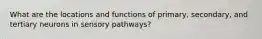 What are the locations and functions of primary, secondary, and tertiary neurons in sensory pathways?