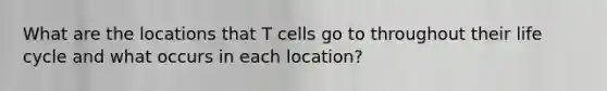 What are the locations that T cells go to throughout their life cycle and what occurs in each location?