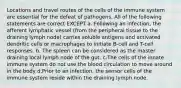 Locations and travel routes of the cells of the immune system are essential for the defeat of pathogens. All of the following statements are correct EXCEPT a. Following an infection, the afferent lymphatic vessel (from the peripheral tissue to the draining lymph node) carries soluble antigens and activated dendritic cells or macrophages to initiate B-cell and T-cell responses. b. The spleen can be considered as the master draining local lymph node of the gut. c.The cells of the innate immune system do not use the blood circulation to move around in the body d.Prior to an infection, the sensor cells of the immune system reside within the draining lymph node.