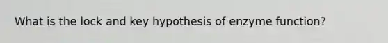 What is the lock and key hypothesis of enzyme function?