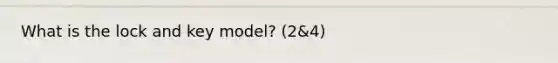 What is the lock and key model? (2&4)