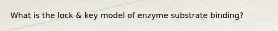 What is the lock & key model of enzyme substrate binding?