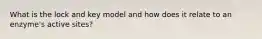 What is the lock and key model and how does it relate to an enzyme's active sites?