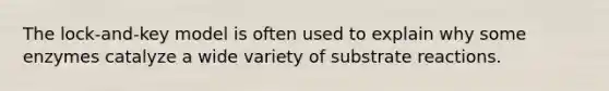 The lock-and-key model is often used to explain why some enzymes catalyze a wide variety of substrate reactions.