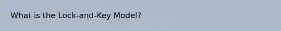 What is the Lock-and-Key Model?