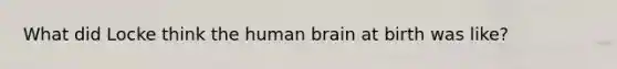 What did Locke think the human brain at birth was like?