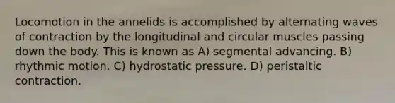 Locomotion in the annelids is accomplished by alternating waves of contraction by the longitudinal and circular muscles passing down the body. This is known as A) segmental advancing. B) rhythmic motion. C) hydrostatic pressure. D) peristaltic contraction.