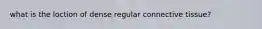 what is the loction of dense regular connective tissue?