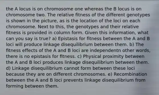 the A locus is on chromosome one whereas the B locus is on chromosome two. The relative ﬁtness of the different genotypes is shown in the picture, as is the location of the loci on each chromosome. Next to this, the genotypes and their relative ﬁtness is provided in column form. Given this information, what can you say is true? a) Epistasis for ﬁtness between the A and B loci will produce linkage disequilibrium between them. b) The ﬁtness effects of the A and B loci are independentn other words, there is no epistasis for ﬁtness. c) Physical proximity between the A and B loci produces linkage disequilibrium between them. d) Linkage disequilibrium cannot form between these loci because they are on different chromosomes. e) Recombination between the A and B loci prevents linkage disequilibrium from forming between them.