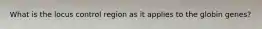 What is the locus control region as it applies to the globin genes?