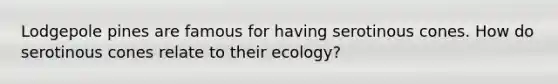 Lodgepole pines are famous for having serotinous cones. How do serotinous cones relate to their ecology?