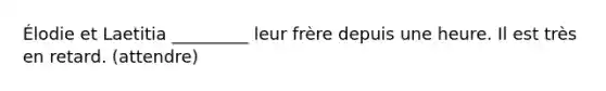 Élodie et Laetitia _________ leur frère depuis une heure. Il est très en retard. (attendre)