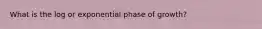 What is the log or exponential phase of growth?