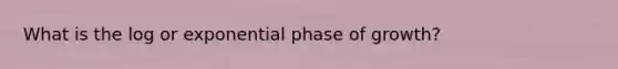 What is the log or exponential phase of growth?